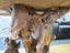 Solid Teak Root Console Carousel 12