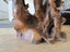 Solid Teak Root Console Carousel 13