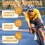 Shilajit Capsules NZ - Sugar free Carousel 6