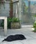 gallery view thumbnail