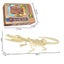 Dinosaur Fossil Dig Kit, Dino Excavation Kits for Kids, Educational Science Kits Carousel 4
