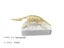 Dinosaur Fossil Dig Kit, Dino Excavation Kits for Kids, Educational Science Kits Carousel 10