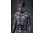 3D Printing Halloween Skeleton Men's Cosplay Bodysuit Zentai Clothing Carousel 3
