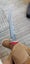 20cm 'Cigar' RARE VG10 Damascus Outdoor Survival Camping Knife Hunting COOL GIFT Carousel 11