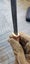 20cm 'Cigar' RARE VG10 Damascus Outdoor Survival Camping Knife Hunting COOL GIFT Carousel 13