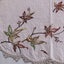 Vintage Hand Embroidered Doily Old Linen Placemat Carousel 3