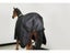 Good Quality 1200D Polyester Breathable Waterproof Ripstop Horse Blanket Winter Carousel 4
