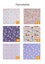 6 Flannelette/Cotton Rat Hammock Set - Choose your pattern! Carousel 10