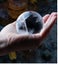 NEW 1PC Ice Mold Large Whiskey 6CM Ice Ball Mold Silicone Freezer Ice Ball Maker Carousel 5