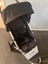 Mountain Buggy Carousel 2