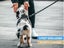 PTN New Adjustable Dog Harness Sale Sale Carousel 6