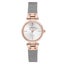Anne Klein Dress Silver and Rose Gold Mesh Silver White Dial Women's Watch - ... Carousel 1