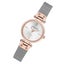 Anne Klein Dress Silver and Rose Gold Mesh Silver White Dial Women's Watch - ... Carousel 2