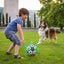 Dog Toy Balls for Hours of Durable Bouncy Fun Playful Lightweight Fetch Ball for Carousel 3