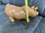 Piggy bank Carousel 6