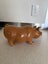 Piggy bank Carousel 12
