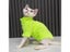 Winter Cat Clothes For Sphinx Chihuahua Thicken Coat Hoodies Carousel 3
