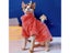 Winter Cat Clothes For Sphinx Chihuahua Thicken Coat Hoodies Carousel 5