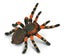 Loading Image 1 of 1