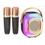 Mini Karaoke Machine with 2 Microphones Karaoke Gifts for Boys Girls Black Carousel 2