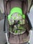 Evenflo pram - pickup Morrinsville Carousel 8