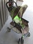 Evenflo pram - pickup Morrinsville Carousel 2
