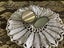 Retro handbag mirror Carousel 2