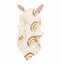 Muslin Baby Comforter Rainbow Carousel 1
