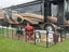 Heavy Duty Temporary Fence 8 meters Carousel 17
