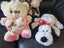 Soft toys bulk, sogs, cats, giraffe, bear, caw Carousel 3