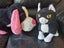 Soft toy dachshund sausage dog and cat bulk Carousel 4
