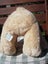 Russ - Teddy of Mine - 30 cm tall Carousel 5
