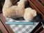 Russ - Teddy of Mine - 30 cm tall Carousel 9