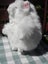 Russ - Fluff - 25 cm Carousel 4