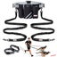 ZINGDOG Hands-Free Dual Dog Leash with Waist Pouch for Running, Walking & Hiking Carousel 1