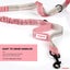 ZINGDOG Hands-Free Dual Dog Leash with Waist Pouch for Running, Walking & Hiking Carousel 4