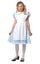 ALICE IN WONDERLAND CHILD GIRLS FANCY DRESS BOOK WEEK COSTUME Carousel 1