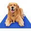 Cooling Pet Mat with Pressure-Activated Gel Pad for Indoor & Outdoor Summer R... Carousel 1