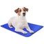 Cooling Pet Mat with Pressure-Activated Gel Pad for Indoor & Outdoor Summer R... Carousel 6