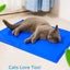 Cooling Pet Mat with Pressure-Activated Gel Pad for Indoor & Outdoor Summer R... Carousel 8