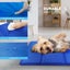 Cooling Pet Mat with Pressure-Activated Gel Pad for Indoor & Outdoor Summer R... Carousel 9