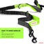 ZINGDOG Hands-Free Dog Leash with Waist Pouch for Running, Walking & Hiking Carousel 4