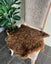 Short Wool Sheepskin Offcuts - Assorted Carousel 4