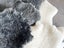 Short Wool Sheepskin Offcuts - Assorted Carousel 11