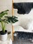 Short Wool Sheepskin Offcuts - Assorted Carousel 12
