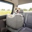 SNOOZER LOOKOUT BOOSTER DOG CAR SEAT MEDIUM up to 12kg Carousel 3