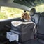 SNOOZER LOOKOUT BOOSTER DOG CAR SEAT LARGE up to 15.5kg Carousel 5