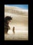 *** a Blu-Ray of WHERE THE WILD THINGS ARE *** Carousel 2