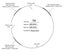 nearly new 7m Yurt 2 door Jaia Yurt company NZ made Carousel 5