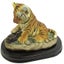 Cute Tiger cub playing with a tortoise Carousel 2
